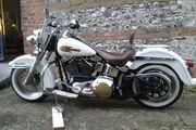 Picture 2 - Eye catching 2000 FLSTC white Heritage Softail 1450cc carb version £7999 motorbike