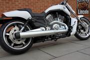 Picture 2 - Brand New & Unregistered Harley-Davidson VRSCF V-Rod Muscle - Denim White Paint motorbike