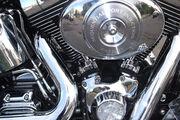 Picture 4 - Harley-Davidson FLSTFI Fatboy motorbike
