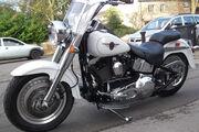 Picture 10 - Harley-Davidson FLSTFI Fatboy motorbike