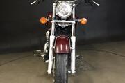 Picture 3 - Honda VT125 Shadow, 2001, 6660 miles, just serviced motorbike