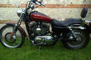 Picture 2 - 2005 Harley-Davidson XL 1200 C custom sport red/black low mileage motorbike