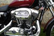 Picture 3 - 2005 Harley-Davidson XL 1200 C custom sport red/black low mileage motorbike