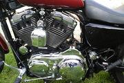 Picture 4 - 2005 Harley-Davidson XL 1200 C custom sport red/black low mileage motorbike