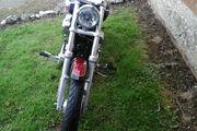 Picture 5 - 2005 Harley-Davidson XL 1200 C custom sport red/black low mileage motorbike