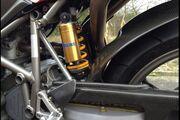Picture 7 - Ducati 996 SPS. 916 996 998 1098 S SP. Carl Fogarty signed motorbike