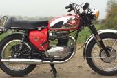1967 BSA A65L Llghtning style 650cc, beautiful condition, MOT V5C for sale