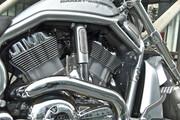 Picture 6 - Harley-Davidson V-ROD VRSCDX 10th Anniversary 1250 2013 motorbike
