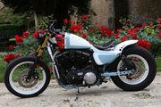 Picture 2 - Harley-Davidson Sportster Iron 883 total custom motorbike