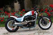 Picture 3 - Harley-Davidson Sportster Iron 883 total custom motorbike