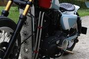 Picture 4 - Harley-Davidson Sportster Iron 883 total custom motorbike