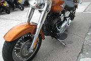 Picture 5 - Harley-Davidson FLSTF Fat Boy Special - Reduced motorbike