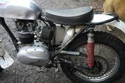 Picture 7 - BSA C15 250 classic trials bike motorbike