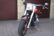 Picture 7 - Harley-Davidson Fatboy FLSTFI 1450 2002 motorbike