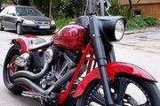 Picture 6 - Harley-Davidson Softail Custom - in UK motorbike