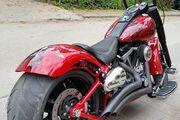 Picture 8 - Harley-Davidson Softail Custom - in UK motorbike
