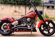 Picture 9 - Harley-Davidson Softail Custom - in UK motorbike