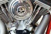 Picture 11 - Harley-Davidson Softail Custom - in UK motorbike