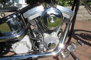 Picture 2 - Harley-Davidson 1340cc Custom Chopper Hard Tail 6 miles only motorbike