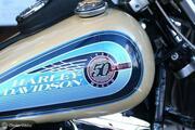 Picture 9 - Harley-Davidson FXLR Dyna Daytona motorbike