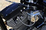 Picture 11 - Harley-Davidson Street Bob Custom Trike, Chopper motorbike