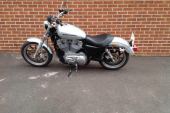 Harley-Davidson XL883 LOW for sale
