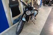 Picture 6 - 2015 Triumph Bonneville T100 Flattracker Custom motorbike