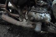 Picture 3 - BSA B31 barn find motorbike