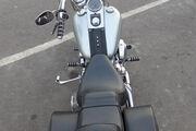 Picture 9 - Harley-Davidson FXSTI Softail Standard 1449, Silver, 2 Owner, VGC Pipes motorbike