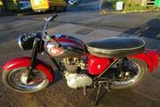 Picture 5 - 1962 BSA 250 C15, same owner for over thirty years motorbike
