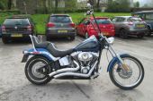 2008 Harley Davidson SOFTAIL CUSTOM FXSTC GREAT OPPORTUNITY 2 OWNERS OUTSTANDING for sale