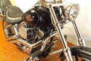 Picture 9 - Harley-Davidson FXSTC Softail Custom 2009 motorbike