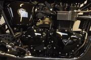 Picture 7 - Triumph Thruxton Ace Cafe Limited Edition motorbike