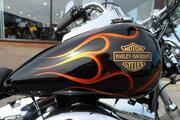 Picture 5 - 2009 Harley-Davidson Softail Custom motorbike