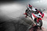 Picture 6 - Yamaha YZF - R1 WGP 50th Anniversary Special Edition motorbike