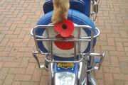 Picture 3 - 1963 Lambretta li 150 Special with 200cc top Italian registered as 125cc motorbike