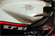 Picture 3 - Absolutely pristine 2009 MV Agusta 1078RR with only 2700 miles motorbike