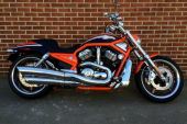 Harley-Davidson SCREEMING EAGLE VROD for sale