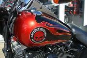 Picture 6 - Harley-Davidson FLSTF 1690 Fatboy Low 2013, ltd edition, 4800 miles motorbike