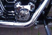 Picture 6 - Harley-Davidson FXSTC Softail Custom 1584, Turquoise & Cream, 2009 motorbike