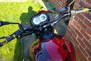 Picture 6 - Buell XB12SX Lightning, 4319 Miles motorbike
