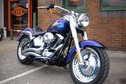 Picture 2 - Harley-Davidson Fat Boy 2010 motorbike