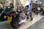Picture 7 - 2015 Harley-Davidson Fxdbb Street BOB LTD 14 motorbike