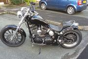 Picture 2 - Harley-Davidson Sportster Chopper/ Bobber/ Custom motorbike