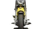 Picture 7 - 1955 Harley-Davidson FLE Panhead motorbike