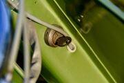 Picture 5 - Vespa BACCHETTA FARO BASSO V 13T* LAMPE UNTEN 1950 motorbike