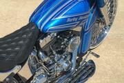 Picture 7 - Dirty Tail Harley-Davidson Fatboy Softail motorbike