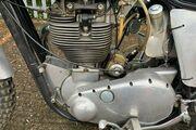 Picture 6 - BSA Gold Star Scrambler pre 65 classic race DBD34 500cc motorbike