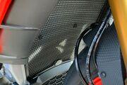 Picture 8 - 2018 Aprilia Tuono V4 1100 Factory, 2535 miles motorbike