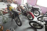 Picture 7 - 1970 Ducati 450 DM 450 motorbike